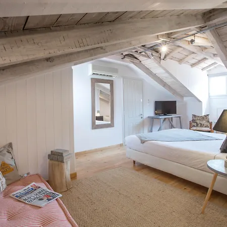 αμυμώνη και αδιάντη 3*